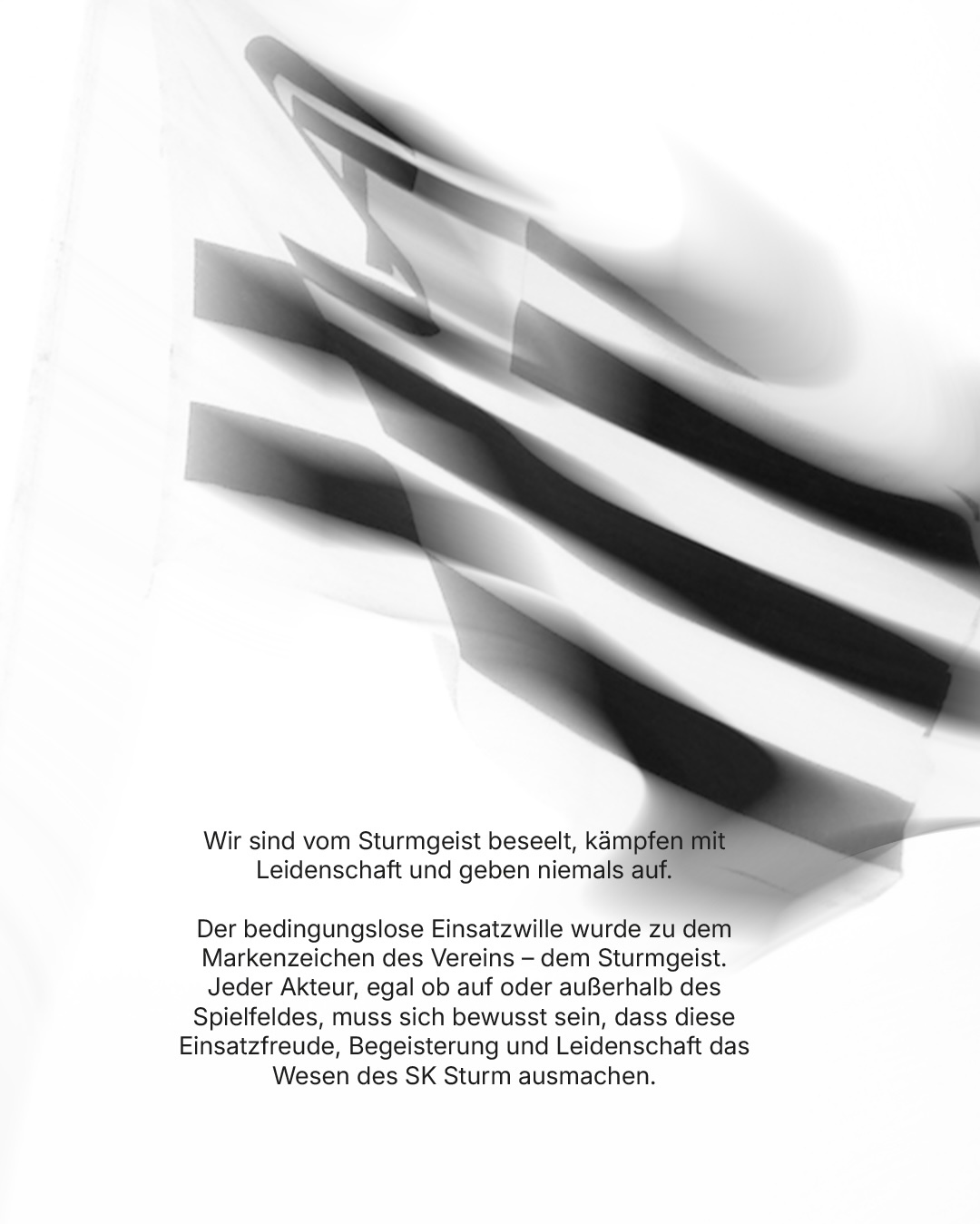 Eine schwarz-weiße Fahne