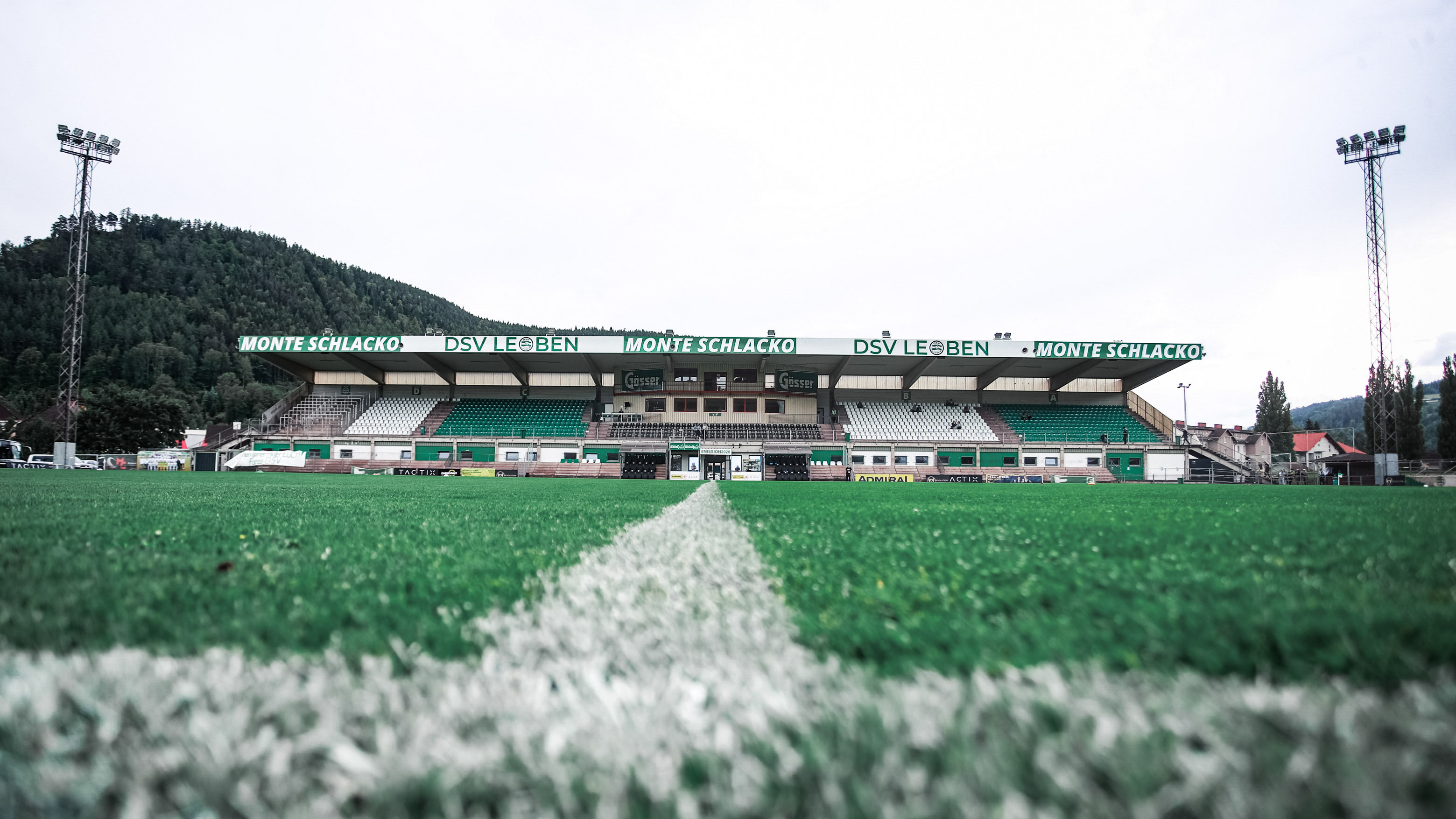 Ein Stadion und grüner Rasen