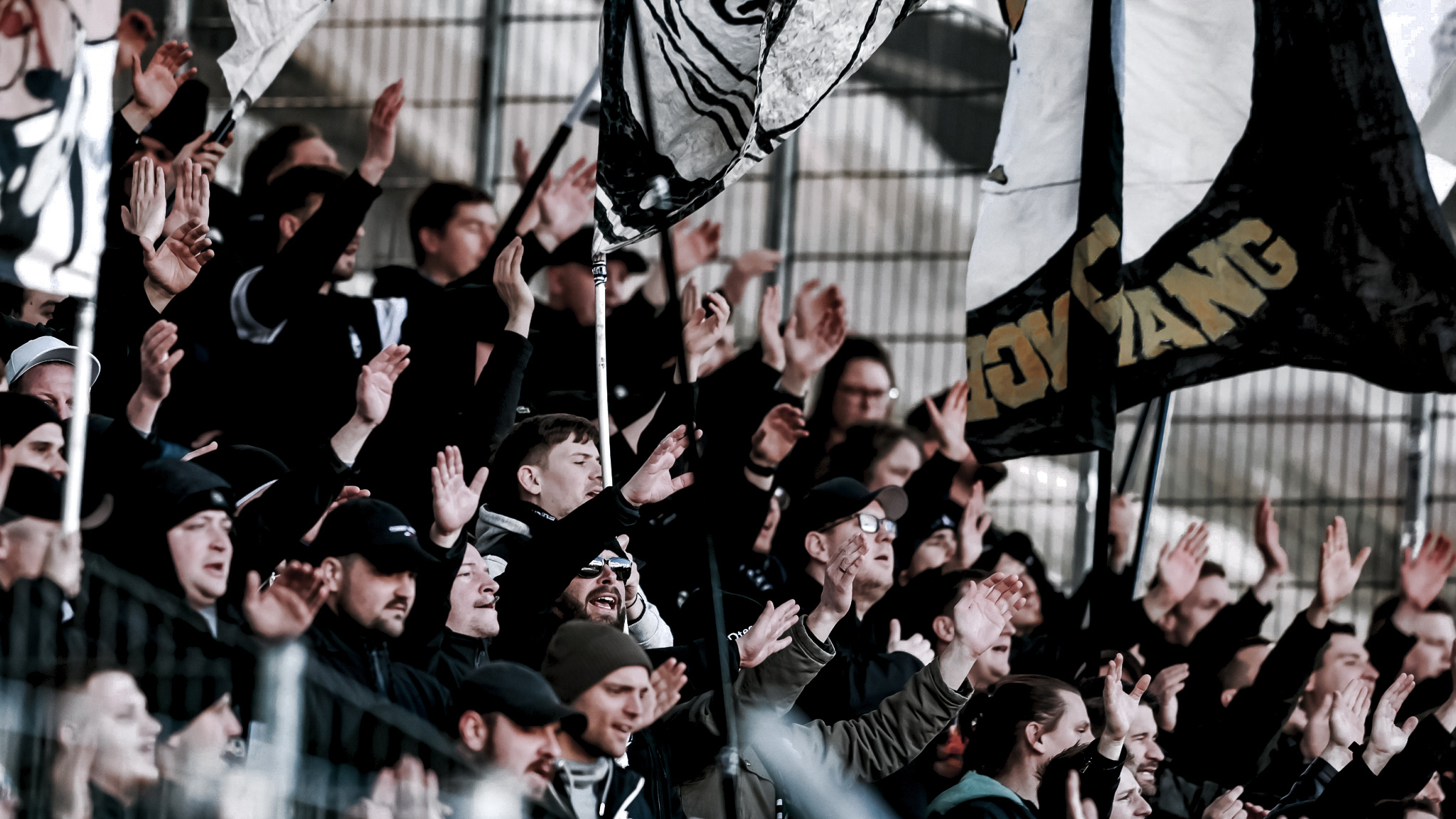 Fans